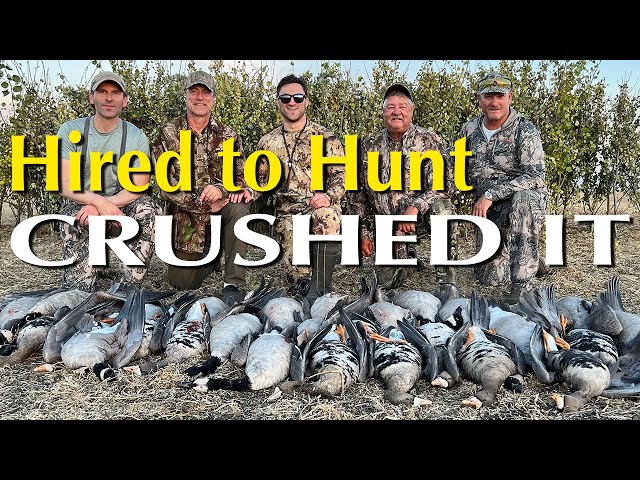 Hired to Hunt Specs & Honks : Alberta Duck and Goose Hunting @Cabela-s @hevishotammo @Benelli_USA