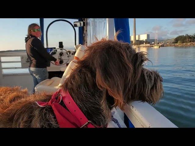 CAPTAIN STEWS LITTLE MISS MAGIC, MORRO BAY