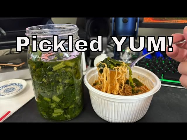 Pickled Mustard Greens | Pickled YUM!