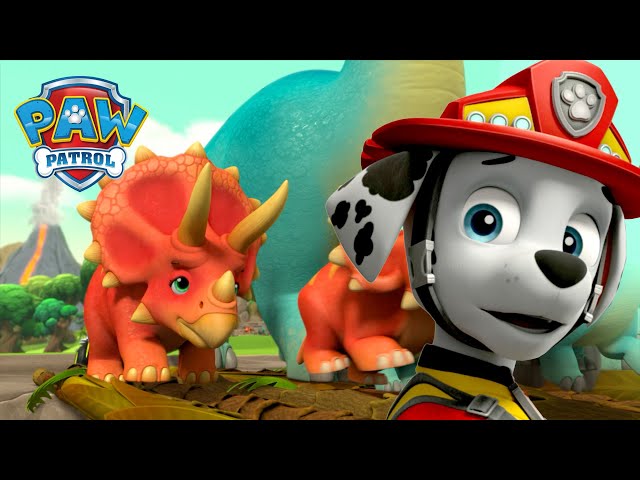 火山爆发啦!🌋 汪汪隊拯救恐龍樂園！🦖還有更多精彩故事！ - PAW Patrol 汪汪隊立大功 - 兒童卡通