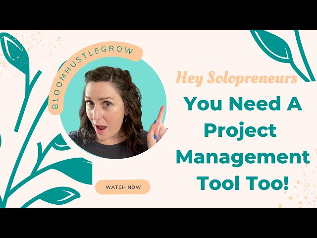 Why Every Solopreneur Needs a Project Management Tool