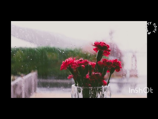 raining calm sound/music,/ anti insomnia relaxation music , soft rain sound