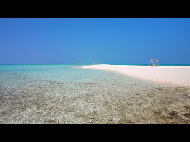 Maldives Beach 4K Ultra HD. Coral Coast and Ocean Sounds of Waves