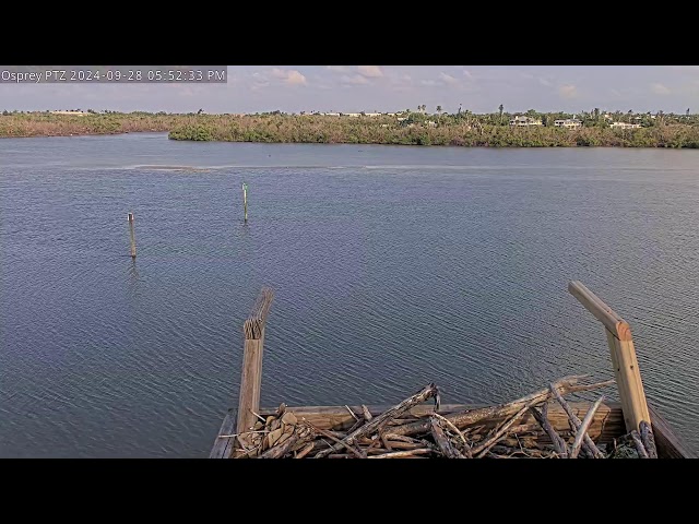 Hurricane Helene Cam - Captiva Osprey PTZ POV (Offline from Power/Internet Outage)