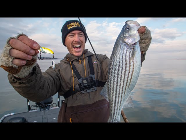 Jigging Winter Striped Bass with Blade Baits