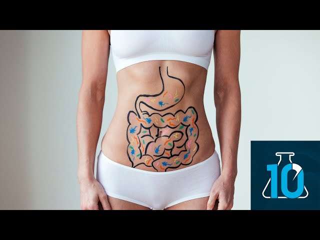 What Is the Microbiome and How Do We Study It?