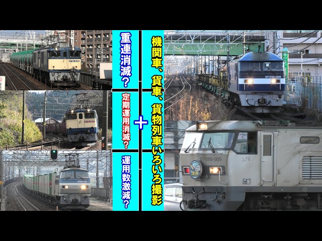 2025年度ダイヤ改正でEF64、65、66が崖っぷちに立たされる・・・！？ ＋ 日鐵チキの稲沢駅旅客ホームの入線風景やHM付きEF510などその他いろいろ撮影(2025年1月24日撮影)