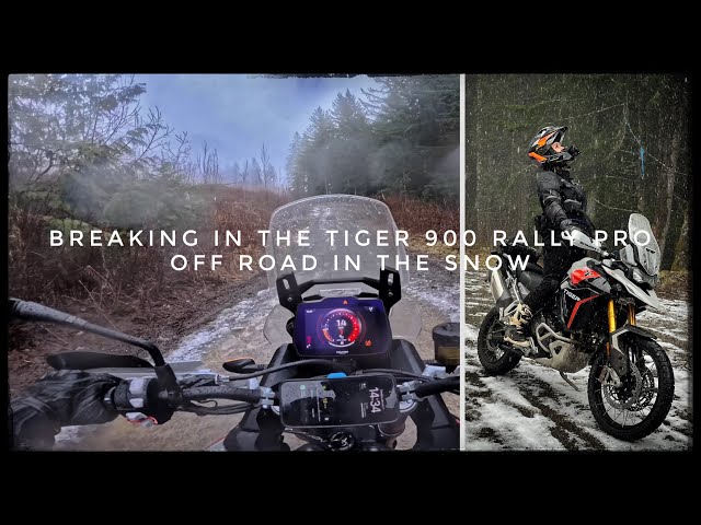 Breaking in My Triumph Tiger 900 Rally Pro 2025 Off Road. It started Snowing!!