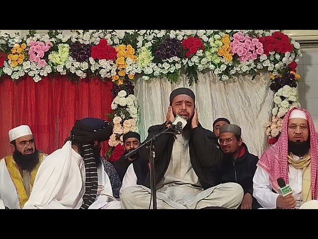 Qari Hammad Anwar Nafisi Sahab|Mahfil Husn Qirat#beautiful#tilawat#clip@Junaid1636