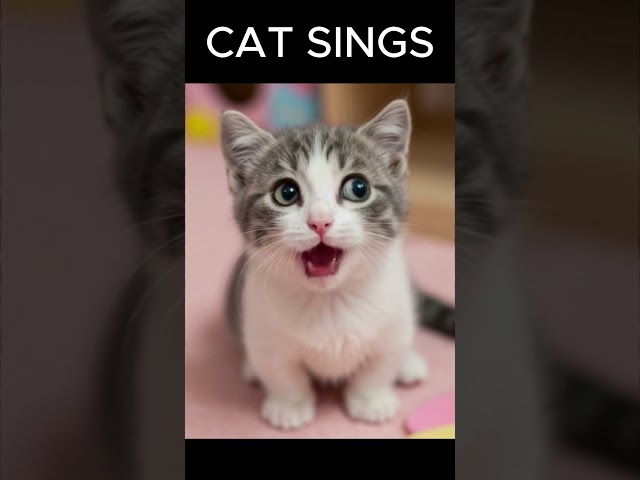 cat sings #shorts