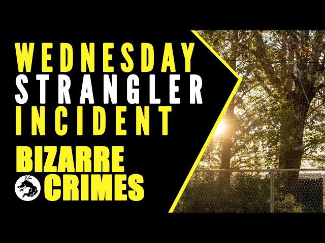 Bizarre Crimes & Disappearances: The Wednesday Strangler Incident