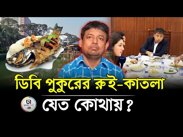 হারুনের ভাতের হোটেল কেমন আছে? ডিবি পুকুরের রুই-কাতলা যেত কোথায়? | DB Harun | Dhaka Times Digital |