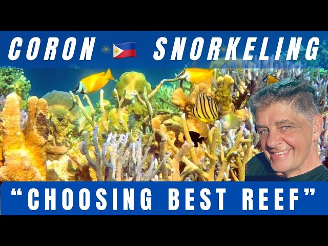 Coron Philippines 2025 snorkeling!  Best location!  What you will see!  And one DANGEROUS fish I saw