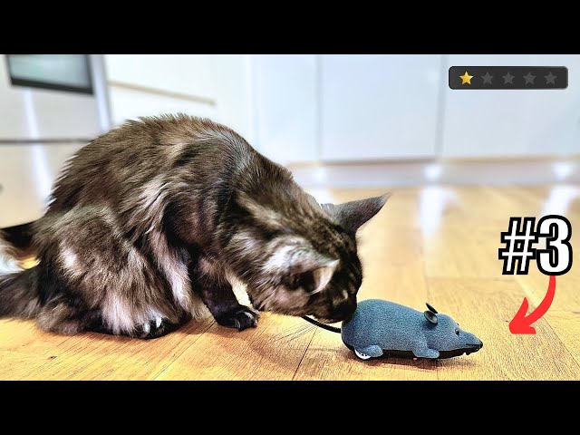 10 Terrible Intereactive Cat Toys Reviewed (Avoid These)!