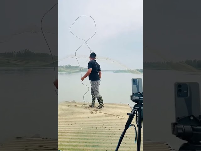 hand net fishing in river #fishing #fish #net #video #fyp