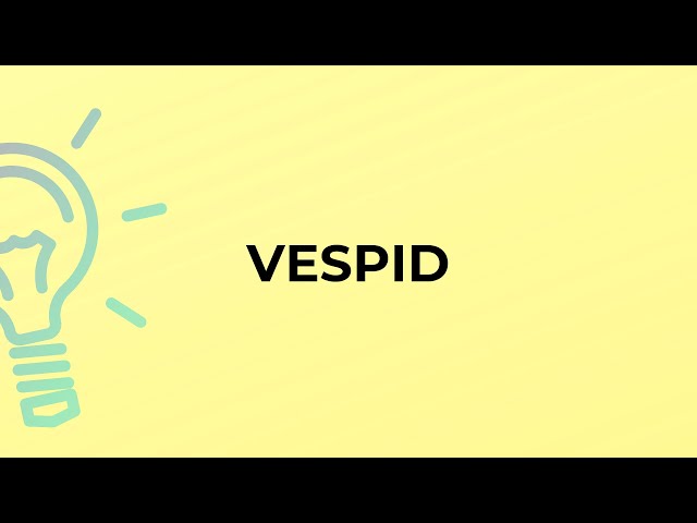 What is the meaning of the word VESPID?