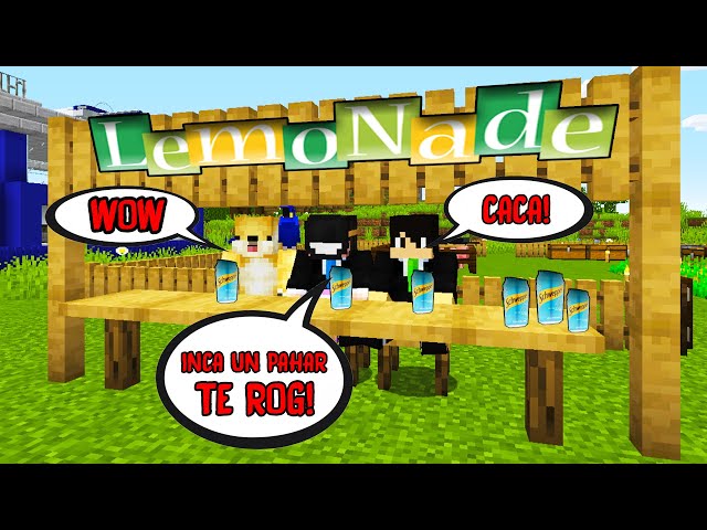 🔴Prima afacere ilegala cu Youtuberi pe MineCity!