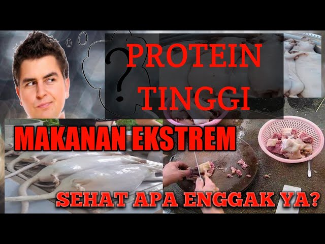 MAKAN APA NIH | MAKANAN YANG EKSTRIM