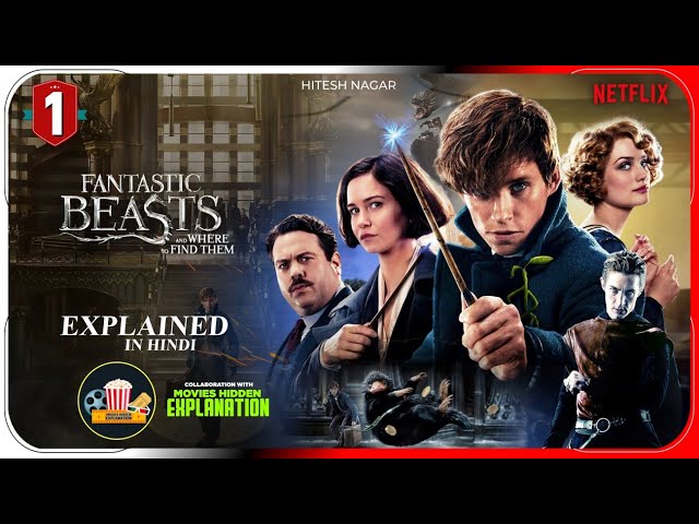 Fantastic Beasts 1 (2016) Explained In Hindi | @Hitesh-nagar-explainer | @MoviesHiddenExplanation