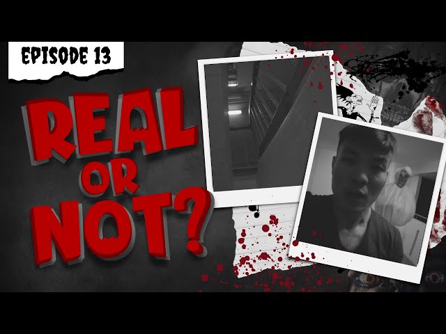 Real or Not - Episode Thirteen (POVs)