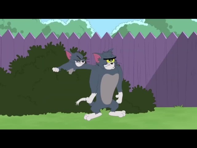 Tom & Jerry show|stone age tom|r.k creation Spider kid