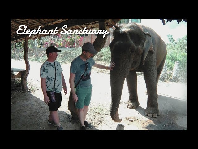 I Spent A Day Helping Elephants and Here's What Happened!