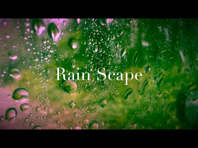 Rain Scape Rain Sounds For Relaxation and Sleep