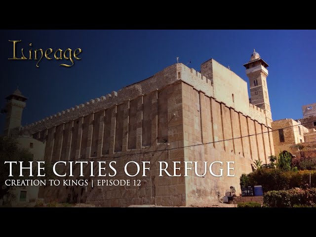 The Cities of Refuge | Creation to Kings | Episode 12 | Lineage