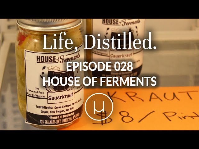 Life, Distilled - Episode #28 - House of Ferments