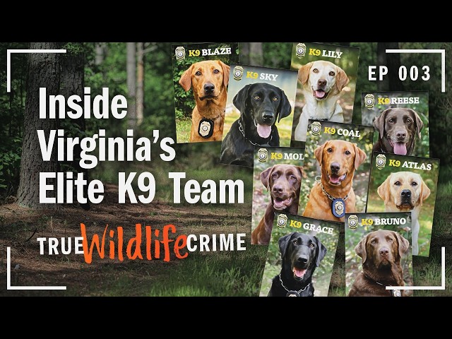 True Wildlife Crime: Inside Virginia's Elite K9 Team