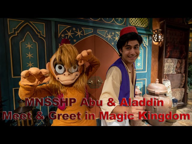 8K MNSSHP Abu & Aladdin Meet & Greet in Magic Kingdom VR180 3D