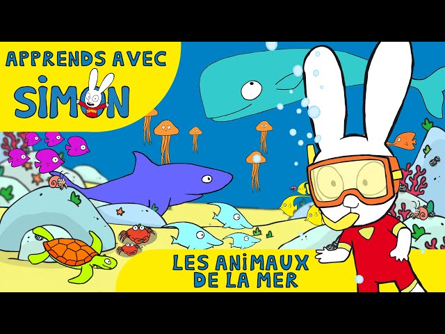 Simon - Découvre les ANIMAUX de la MER avec SIMON [Officiel] Dessin animé pour enfants