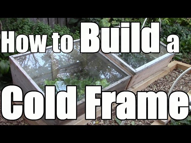 How to Build a Cold Frame to Extend Your Growing Season