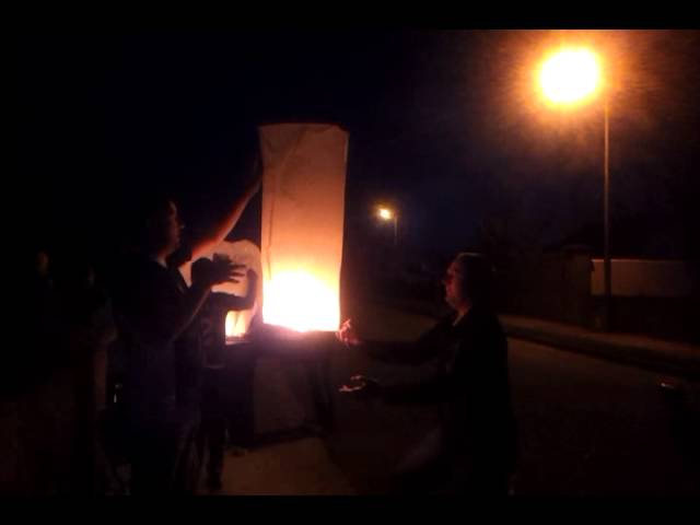 Chinese Lanterns in Shanakiel, Dunmore!