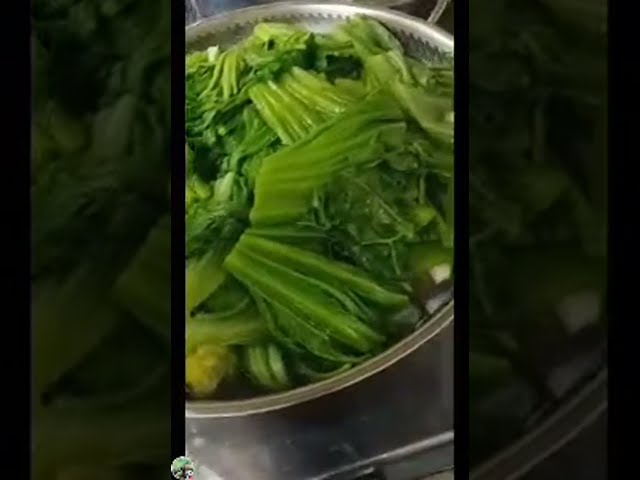 COOKING FRESH VEGETABLES WITH CHICKEN #ASMR #SATISFYING