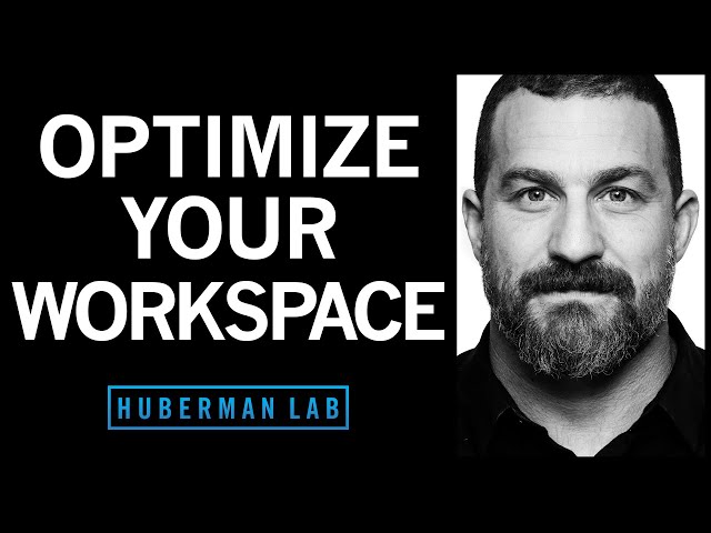 Optimizing Workspace for Productivity, Focus, & Creativity