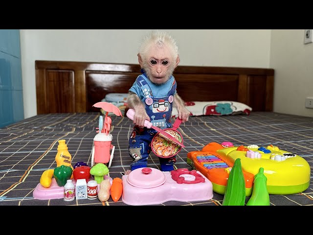 Lala gets acquainted and is surprised when she opens a gift of cooking utensils!