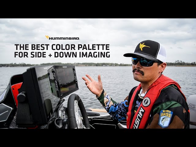 The Best Color Palette for Side and Down Imaging