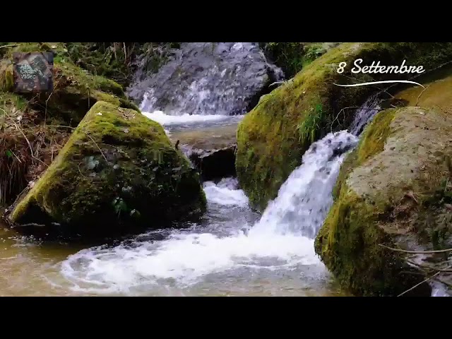 Chiesa Cristiana Evangelica Di Guidonia-Meditazione  8 Settembre #chiesa  #iscrivitialcanaleyoutube