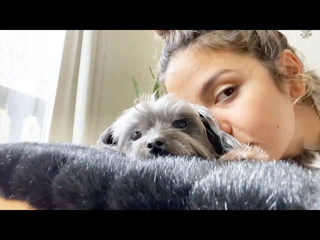 BORED IN THE HOUSE! Surviving Quarantine With Erin | Erin Lim