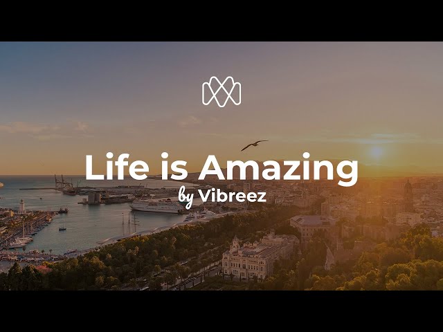 Vibreez - Life is Amazing (Lyrics)