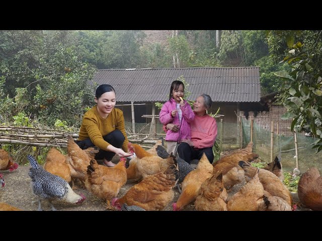 Warm Meal With Mom.  Cleaning the Farm and Selling Wild Boars.  Amy Green forest life