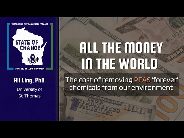 All the Money in the World: The cost of removing PFAS from our environment