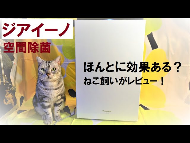 【ジアイーノ】猫飼いがレビュー【空間除菌】ペットのにおい