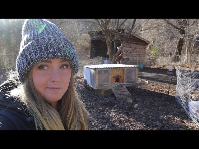 Mistakes I Made My First Year Homesteading (What I Learned From Them And What I Wish I Knew)