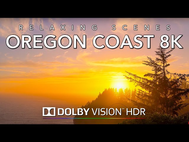 Driving Gorgeous Oregon Coastline at Sunset 8K Dolby Vision HDR