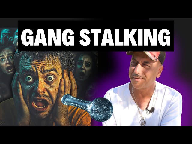 What Is Gang Stalking?? #sobriety #sobercurious #sober