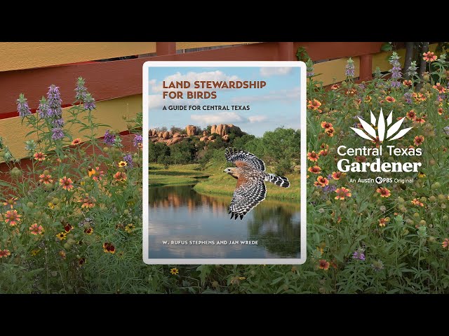 How Garden for Birds and PollinatorsTo | Central Texas Gardener