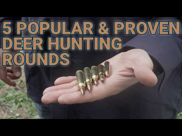 5 Popular and Proven Deer Hunting Calibers