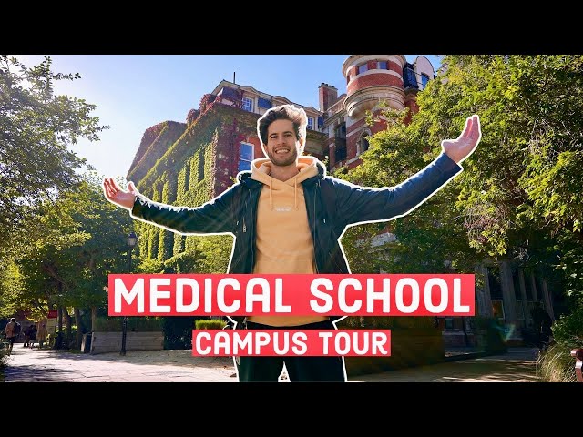 Medical School Campus Tour | King's College London